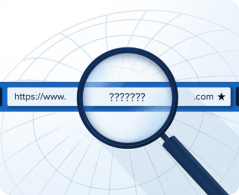 Searching for a domain name